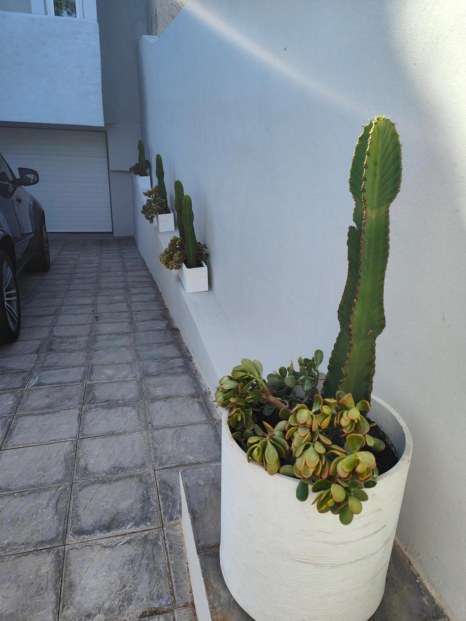 Casa vacanze Casa 5 Con Solarium Santa Cruz de Tenerife